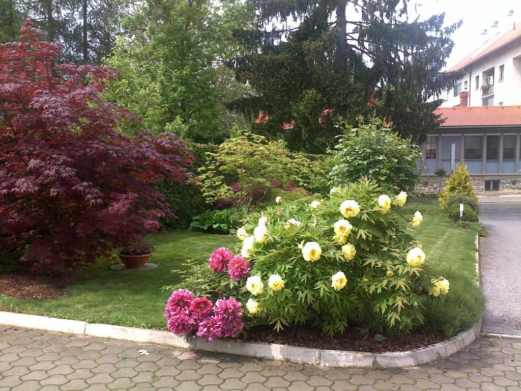 Apartment Sobe Ravbar Novo Mesto Buitenkant foto