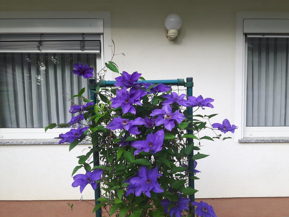 Apartment Sobe Ravbar Novo Mesto Buitenkant foto
